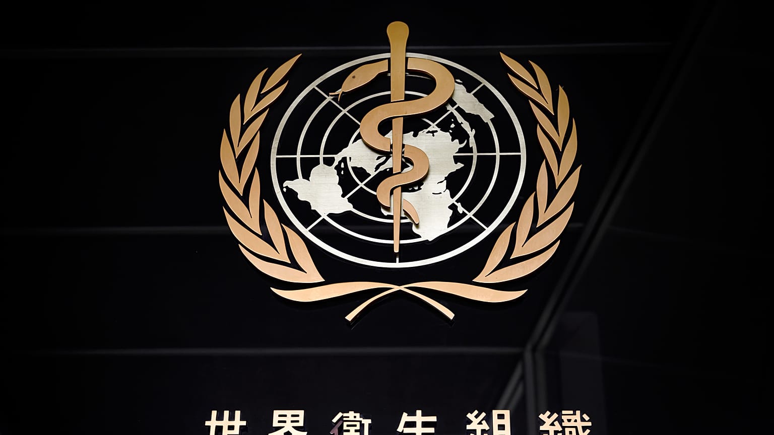 A picture taken on March 9, 2020 shows the sign of the World Health Organization