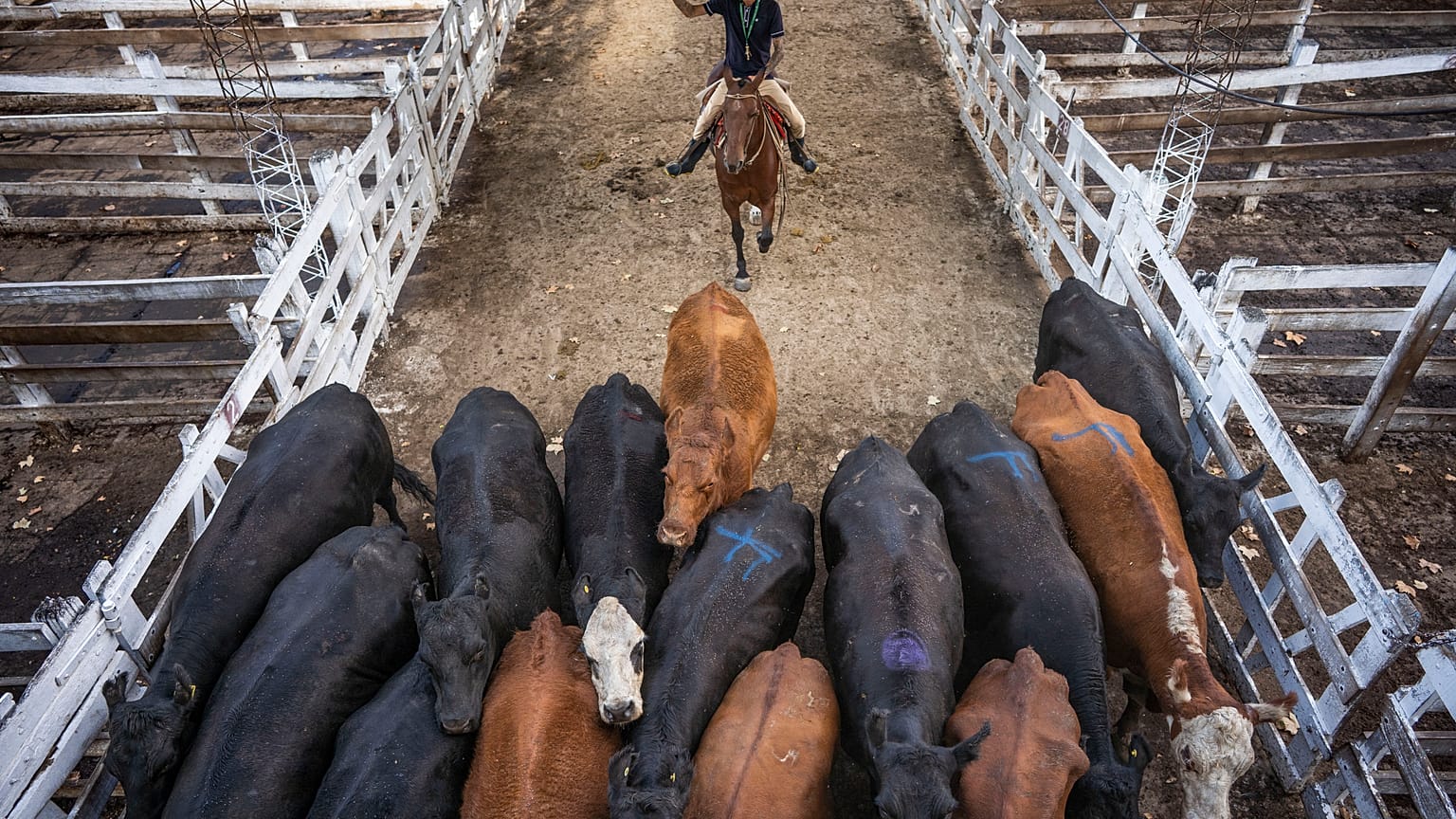 El coronavirus golpea la economía argentina y hunde las exportaciones de carne