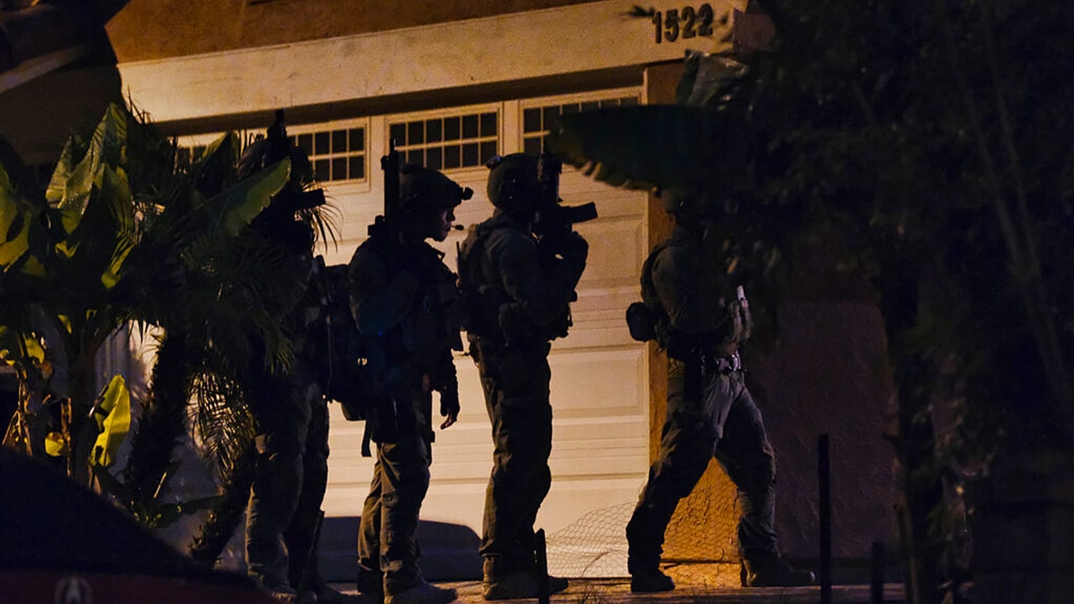 Drug Cartel Raids