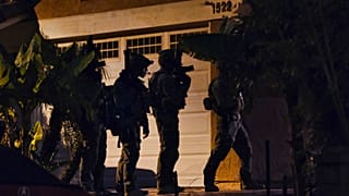 Drug Cartel Raids