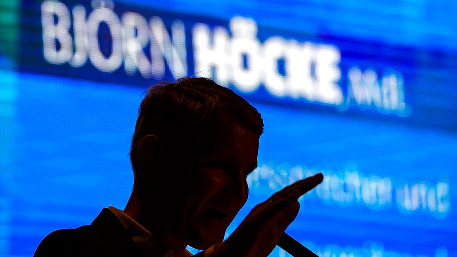 Der AfD-"Flügel" soll rechtsextreme Bestrebungen haben, Björn Höcke ist einer ihrer Chefs