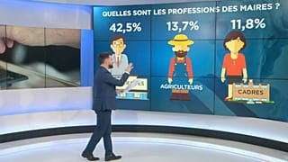 Municipales 2020 : portrait-robot des maires en France