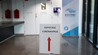 France Virus Outbreak