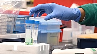 Koronavirüsün tedavisi için araştırmalar sürüyor