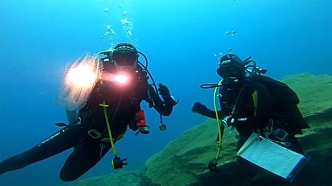 What’s killing our underwater ecosystems?
