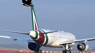 Italy Alitalia
