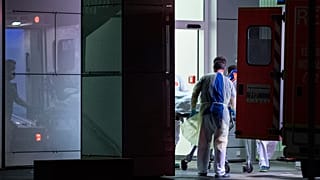 Germany Virus Outbreak