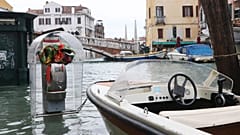 Sogar in Venedig: Ausbleiben der Touristen sorgt für saubereres Wasser