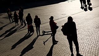 Belgium Virus Outbreak