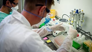 Koronavirüs test laboratuvarı