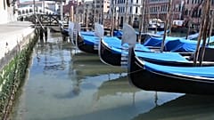 Economic lockdown 'reduces global pollution levels' - European Space Agency 