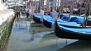 Economic lockdown 'reduces global pollution levels' - European Space Agency 