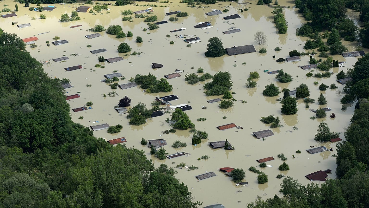 La ricrescita felice. Rimboschimento contro il cambio climatico