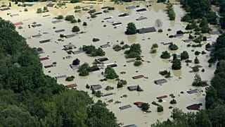 La ricrescita felice. Rimboschimento contro il cambio climatico