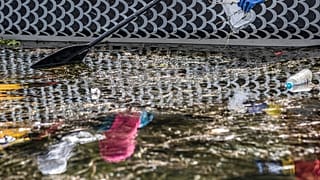 Çevre gönüllüleri, Mısır'a hayat veren Nil Nehri'ni temizlemeye çalışıyor 