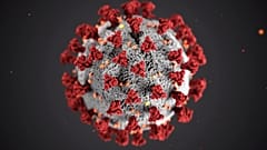 Distanciamiento social, teletrabajo y otras nuevas palabras que nos trajo la pandemia de coronavirus