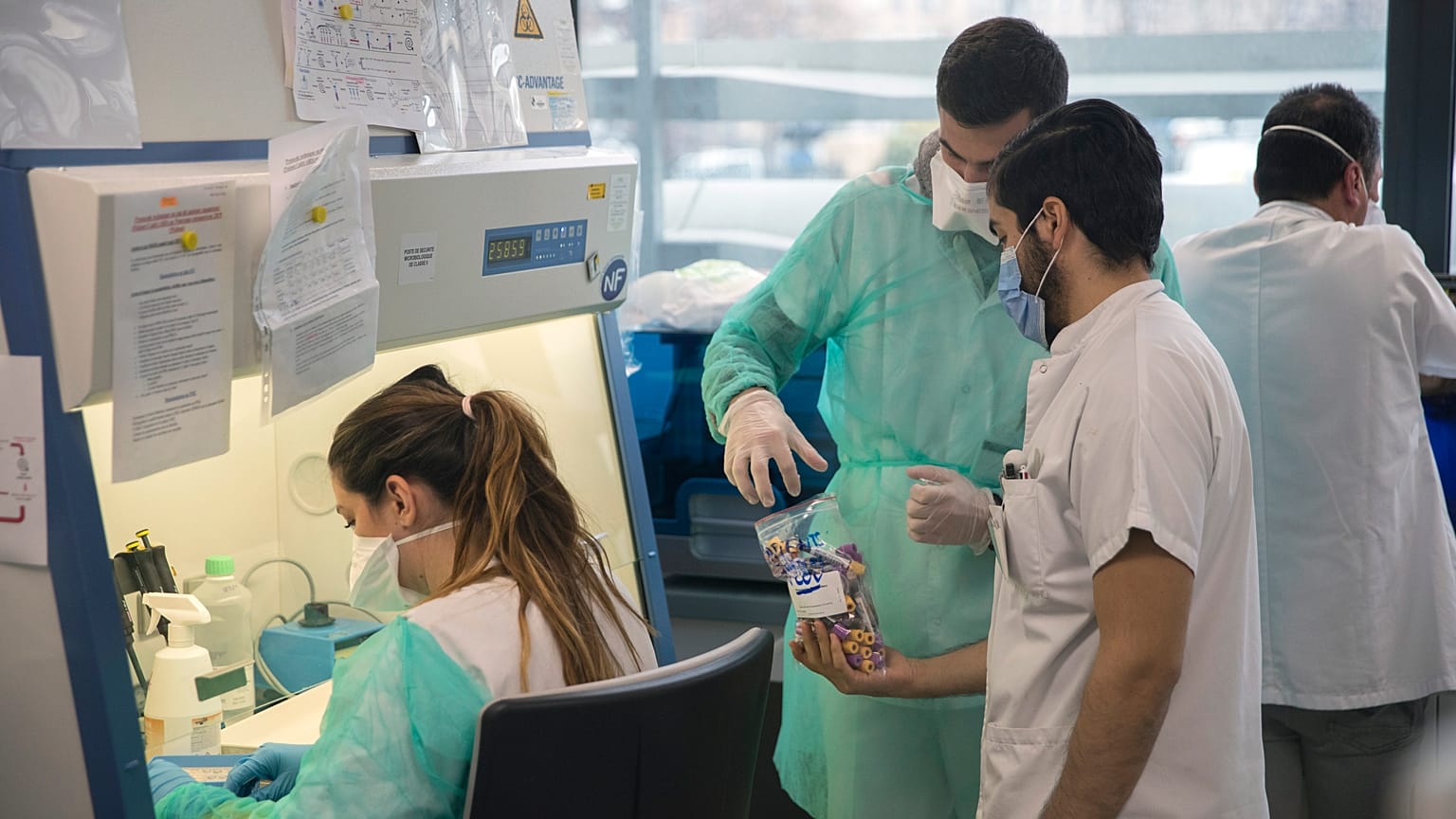 France Virus Outbreak
