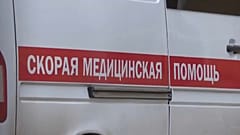 COVID-19 в России: Мишустин призвал пожилых отказаться от прогулок и встреч 