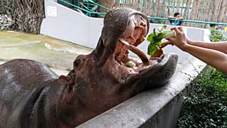 Thaiföld - képünk illusztráció!