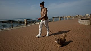 Coronavirus: portare a passeggio il cane, si può. Ma per alcuni è una scusa