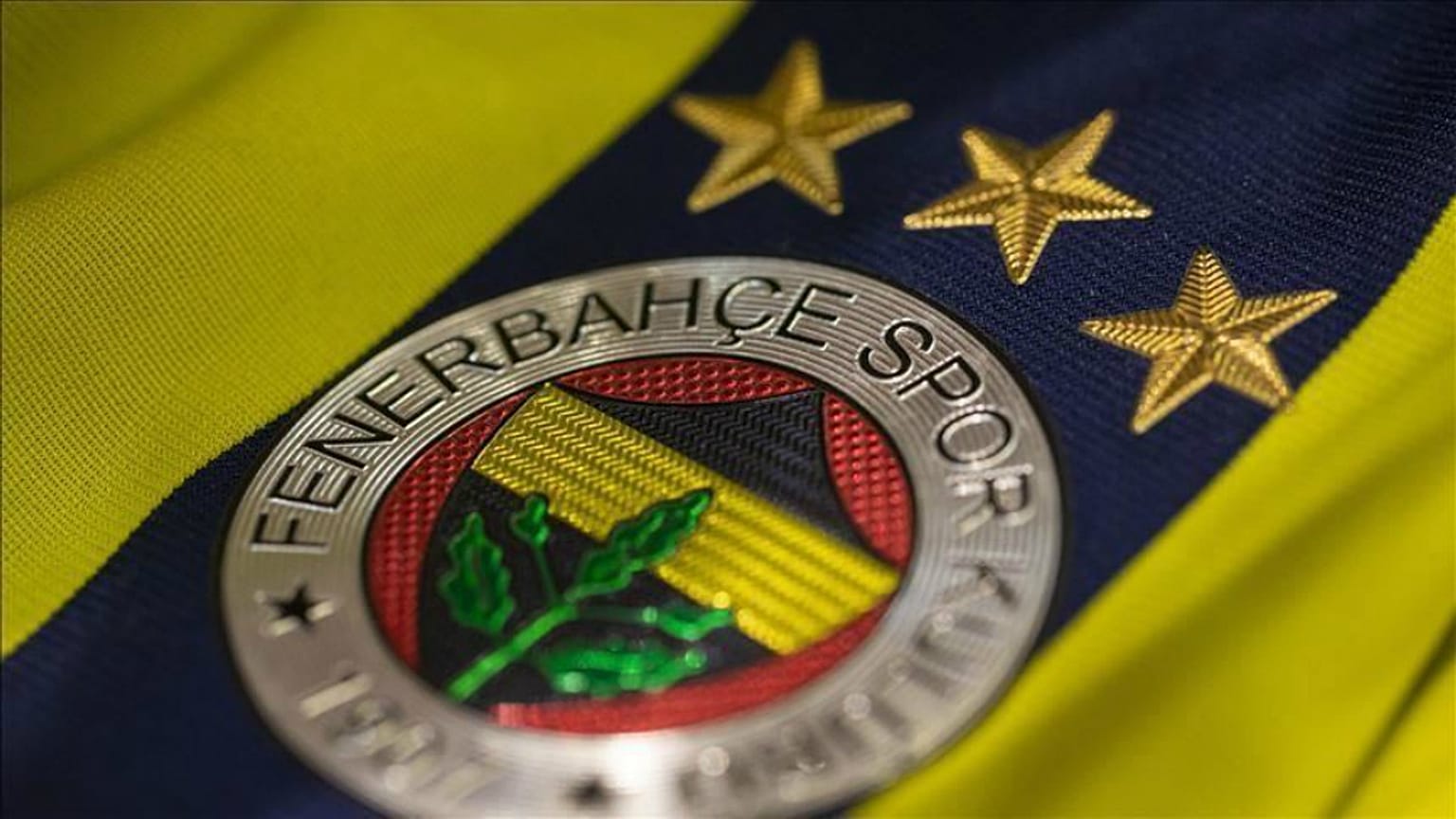 Fenerbahçe logosu