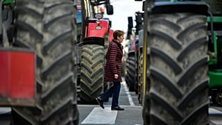 El campo sigue activo para garantizar que las neveras estén llenas