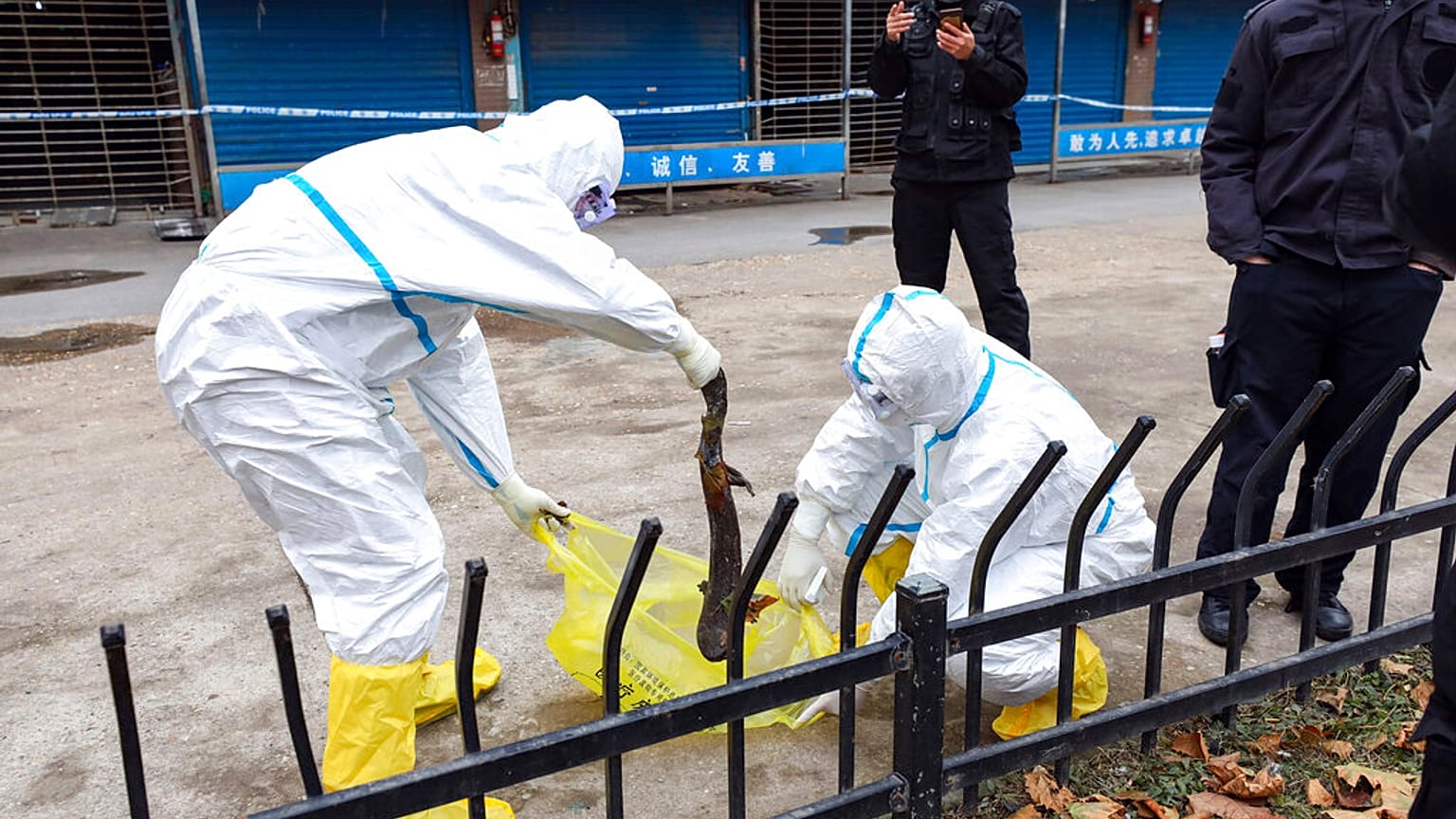 China Outbreak