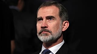 El rey de España, Felipe VI
