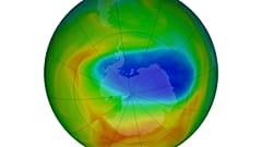 Озоновая дыра над Антарктикой снова выросла