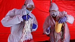 Волонтёры Красного Креста в Праге