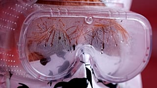 Virus Outbreak Czech Republic