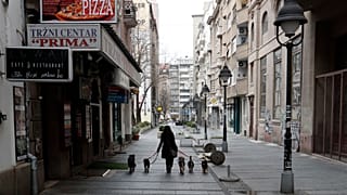 Os animais de estimação e a pandemia