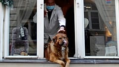 A man pets a dog that sits in a window downtown Prague, Czech Republic, Tuesday, March 24, 2020