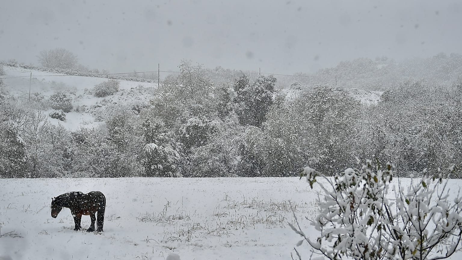 Los españoles verán la nieve desde sus ventanas