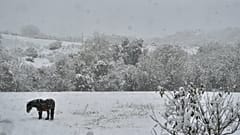 Los españoles verán la nieve desde sus ventanas