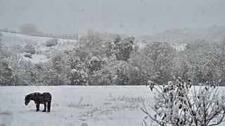 Los españoles verán la nieve desde sus ventanas