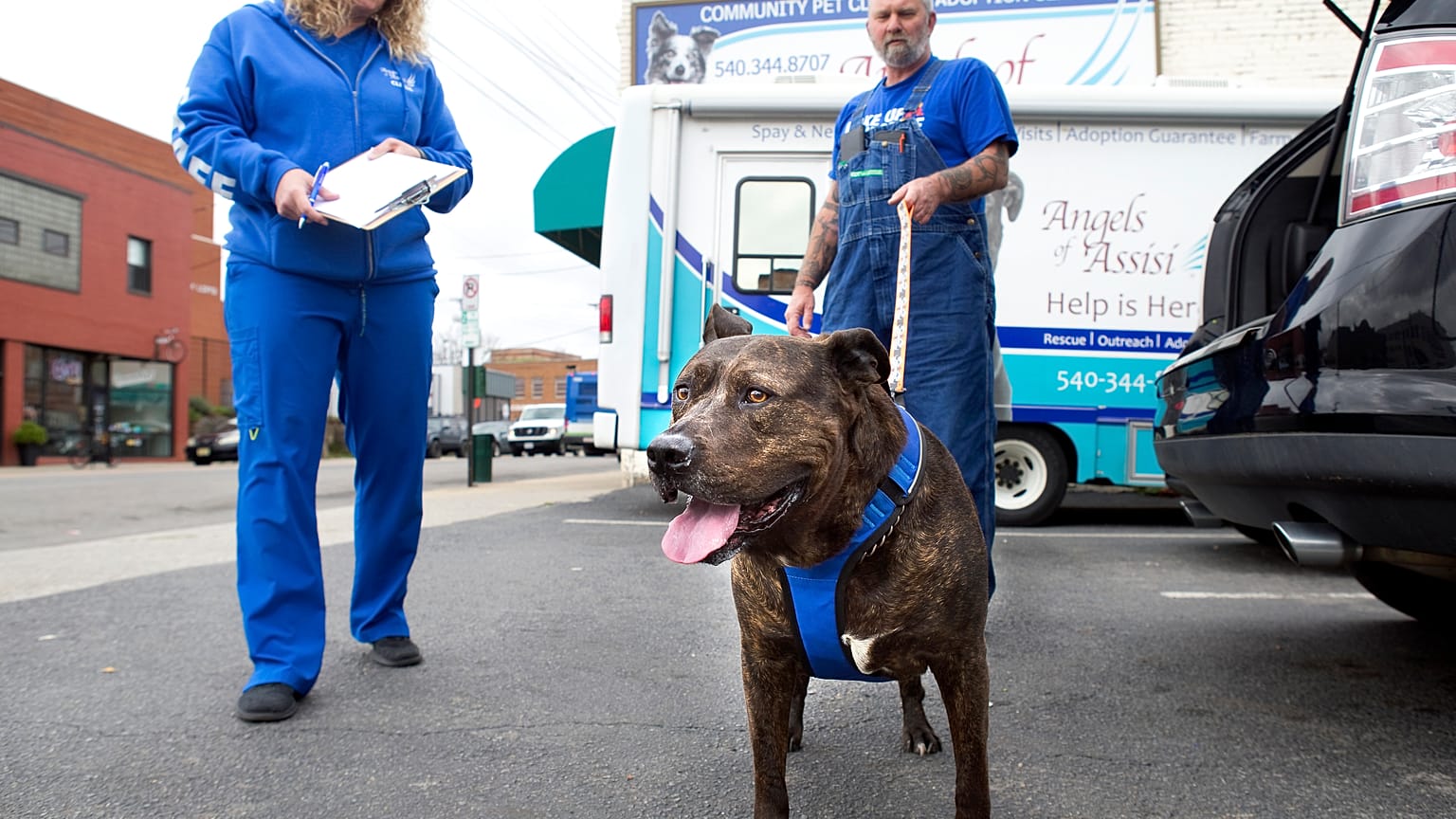 Vet clinic in Virginia is offering curb side pick up and drop off for animals amid concerns over the coronavirus.