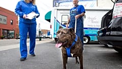 Vet clinic in Virginia is offering curb side pick up and drop off for animals amid concerns over the coronavirus.