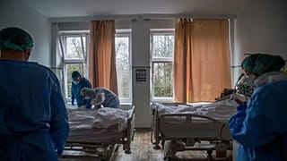 Virus Outbreak Hungary