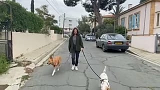 Κύπρος: Online παραγγελίες για τα κατοικίδια εν μέσω πανδημίας 