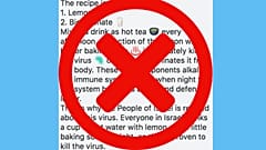 Debunked: No, lemon in hot water is not a 'cure' for COVID-19 