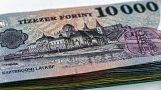 A felhatalmazási törvény visszhangja gyengíti a forintot egy elemző szerint