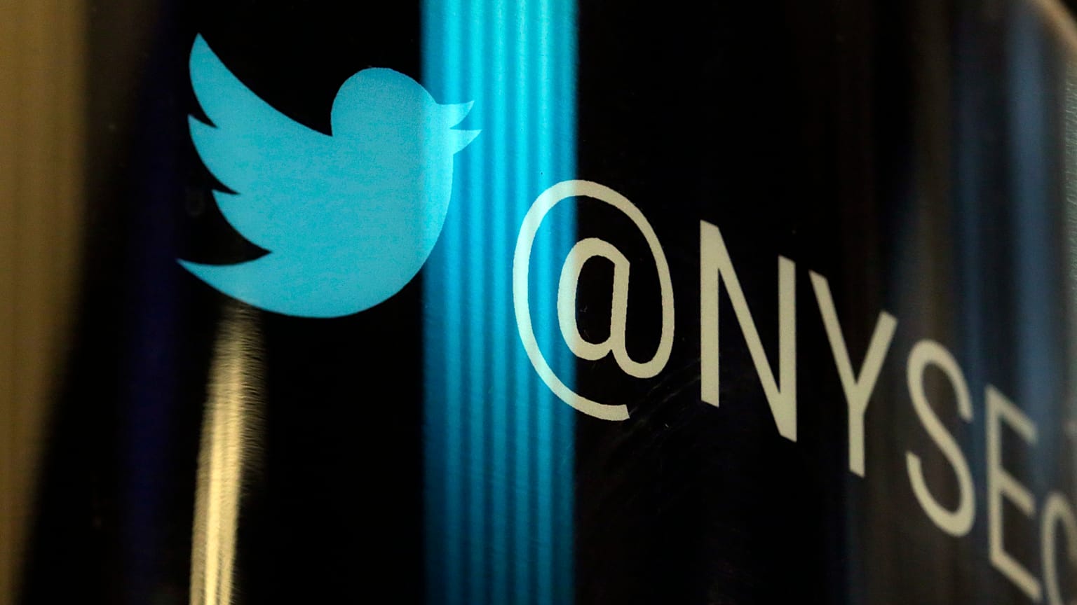 Twitter-Activist Investor