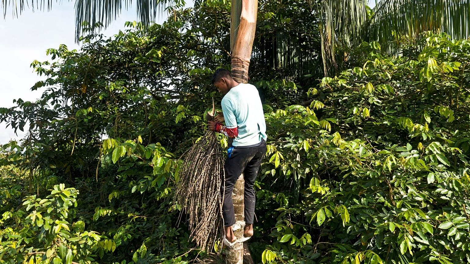 Young people of the Amazon are the real guardians of the rainforest