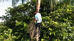 Young people of the Amazon are the real guardians of the rainforest