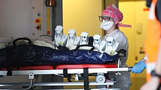Dons de plasma et vers marins : les nouveaux espoirs dans la lutte contre le coronavirus