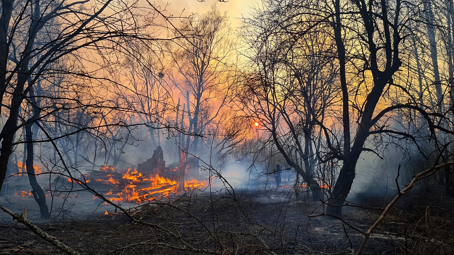 Ukrayna'da Çernobil bölgesinde orman yangınları