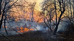 Ukrayna'da Çernobil bölgesinde orman yangınları