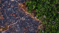 Brazil Amazon Crossroads