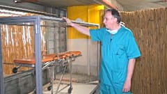 Coronavirus : un aquarium pour se recueillir près d'un défunt